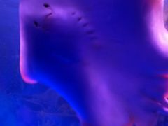 -福州罗源湾海洋世界旅游区