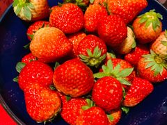 -初花·日本料理