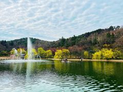 -北岭山森林公园