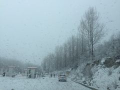 -太子岭滑雪场