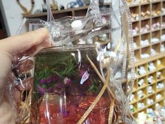 -碰瓷儿陶艺DIY体验馆(五道营胡同总店)