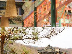 -沉浸北京·团建旅行·密室剧本杀·年会会议轰趴拓展