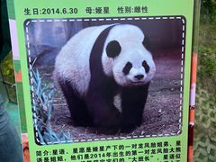 -泉州海丝野生动物世界