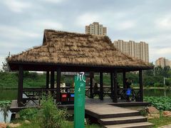 -前关湿地公园