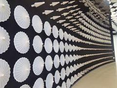 -安徽广播电视台