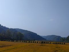 -南泥湾风景区