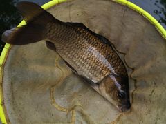 -酷鱼垂钓CLUB(朝阳区博大路店 )