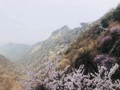 -少华山国家森林公园