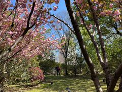 -苏州河梦清园环保主题公园