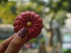 -陶陶居饼家(惠福东路店)