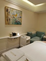 -奥斯芬欧系贵族SPA