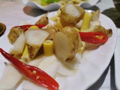 泡菜-明升萝卜汤