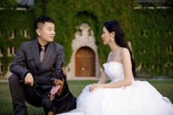 -CD视觉婚纱摄影