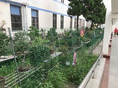 -东南大学附属中大医院(本部)