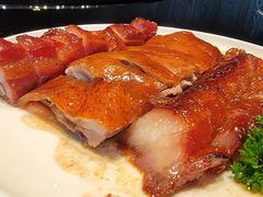 -金汇酒楼(中山东区店)