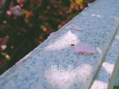 -石岛赤山风景区