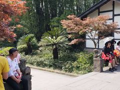 -邓小平故里