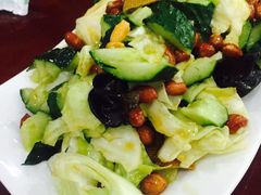 iphone_upload_pic-雍阳饺子庄