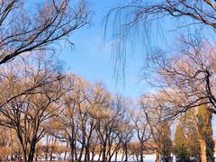 -颐和园