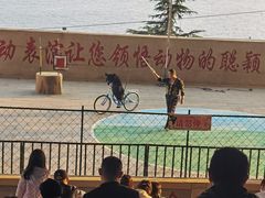 -东方熊牧场