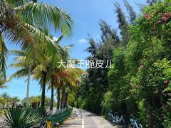 景点-白沙门生态公园