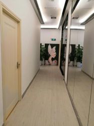 -DEM缔怡美科技美容