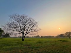 -汉长安城未央宫国家考古遗址公园
