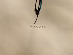 -MAGPIE喜鹊派餐厅(华侨城店)