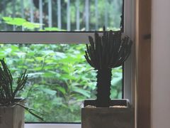 -COTTON CAFE(德信·中外公寓店)