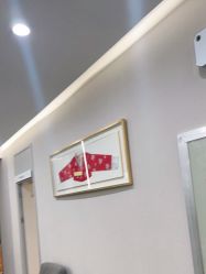 -上海首尔丽格医疗美容医院