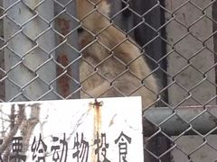 -哈尔滨北方森林动物园