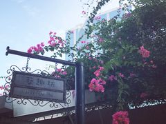 -九龙公园