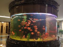 -南通大饭店(老楼)