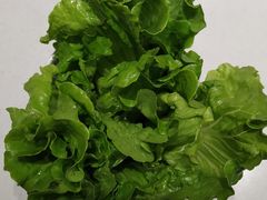 -古乐牛香·鲜牛肉牛杂火锅(新区店)