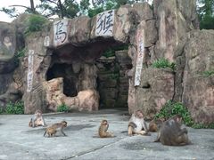 -广州市流溪河国家森林公园