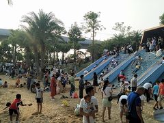 -宝安西湾红树林湿地公园