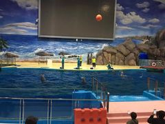 -福州罗源湾海洋世界旅游区