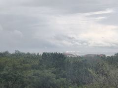 -日照海滨国家森林公园