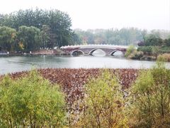 -大兴滨河森林公园