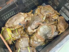 -無招牌海鮮(芽笼店)