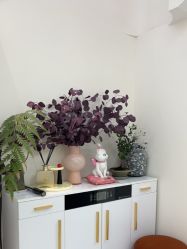 -WENDY·温迪皮肤管理