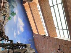 -延庆地质公园博物馆