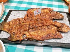 -向外鱼乐·土菜·虹鳟鱼