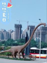 -恐龙探索乐园(磁器口店)