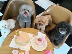 -Oh My Dog宠物沙龙(伊珊娜皮毛护理店)