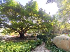 -晓港公园
