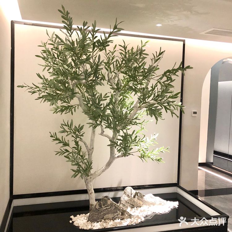 常州探店|带你去做一次顶级按摩