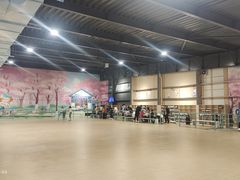 -极限PLAY运动娱乐新世界·团建派对潮玩休闲馆·室内蹦极高空游乐园