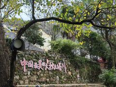 -塔川景区