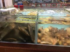 水产区-皮记海鲜1995(寮步店)